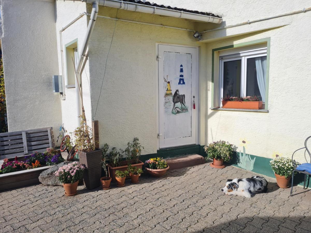 Ferienwohnung Im Wispertaunus Dickschied Exteriér fotografie